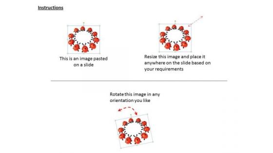 Stock Photo Lady Bug Standing In Circle PowerPoint Slide