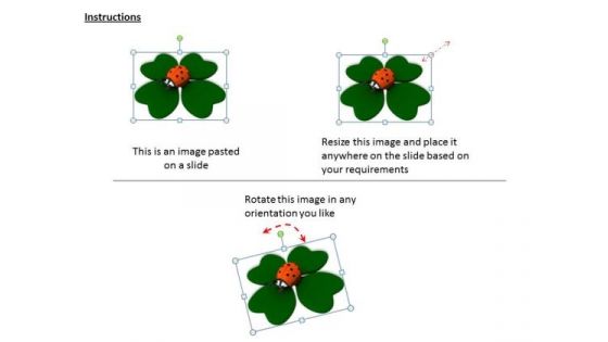 Stock Photo Ladybug On Clover Leave Good Luck On Patrick Day PowerPoint Slide