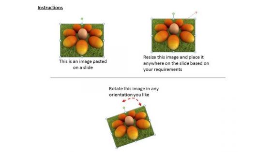 Stock Photo Orange Colored Eggs Shows Team Concept PowerPoint Slide