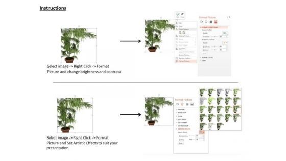 Stock Photo Plant Trees Save Earth Conceptual Image PowerPoint Slide