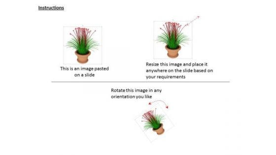 Stock Photo Plant With Vase For Home Decoration PowerPoint Slide