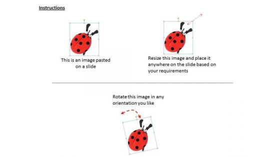 Stock Photo Red Lady Bug On White Background PowerPoint Slide