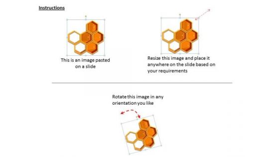 Stock Photo Theme Of Honey Bee Shed PowerPoint Slide