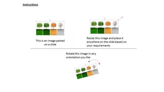 Stock Photo Trees Depicting Four Seasons Pwerpoint Slide