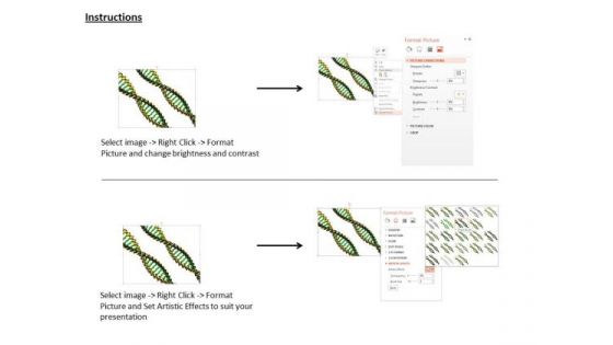 Stock Photo Two Green Dna Structure For Medical Study PowerPoint Slide