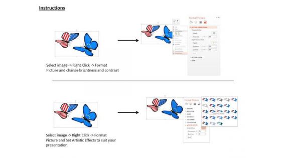 Stock Photo Us And European Butterflies PowerPoint Slide