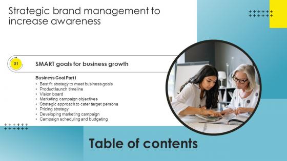 Strategic Brand Management To Increase Table Of Contents Portrait Pdf