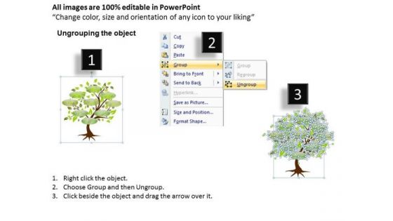Strategic Management Family Tree Sales Diagram