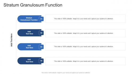 Stratum Granulosum Function In Powerpoint And Google Slides Cpb