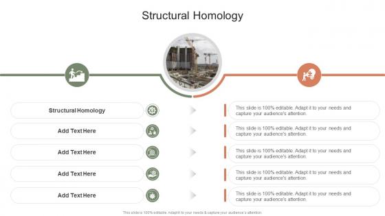 Structural Homology In Powerpoint And Google Slides Cpb Structural Homology In Powerpoint And Google Slides Cpb