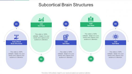 Subcortical Brain Structures In Powerpoint And Google Slides Cpb Subcortical Brain Structures In Powerpoint And Google Slides Cpb