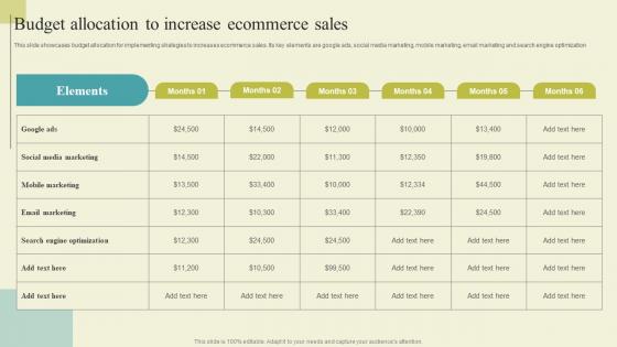 Successful Guide For Ecommerce Promotion Budget Allocation To Increase Background Pdf