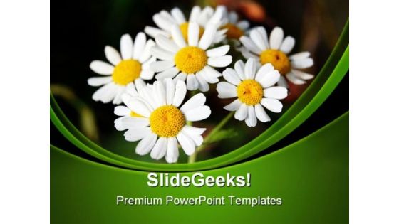 Summer Daisies Nature PowerPoint Templates And PowerPoint Backgrounds 0311