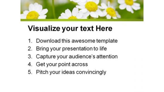 Summer Time Daisies Nature PowerPoint Templates And PowerPoint Backgrounds 0311