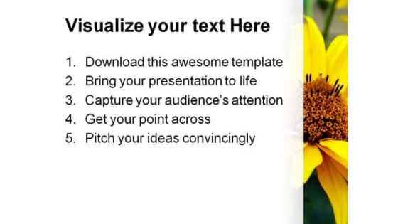 Sun Flower Beauty PowerPoint Templates And PowerPoint Backgrounds 0311