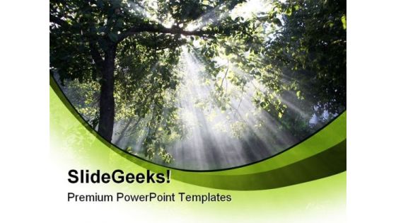 Sun Rays In Forest Nature PowerPoint Template 1110