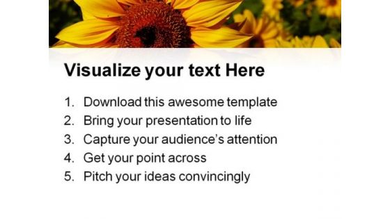 Sunflower01 Nature PowerPoint Templates And PowerPoint Backgrounds 0211