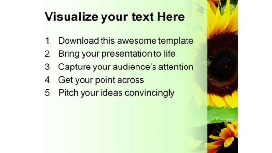 Sunflower Beauty Abstract PowerPoint Templates And PowerPoint Backgrounds 0211