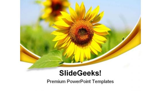 Sunflower Beauty PowerPoint Themes And PowerPoint Slides 0511