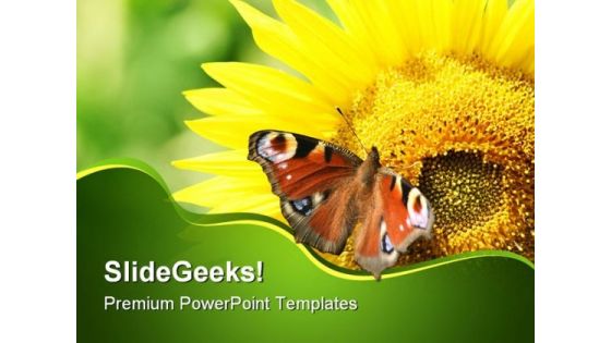 Sunflower With Butterfly Nature PowerPoint Templates And PowerPoint Backgrounds 0211