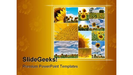 Sunflowers Collage Nature PowerPoint Template 0810