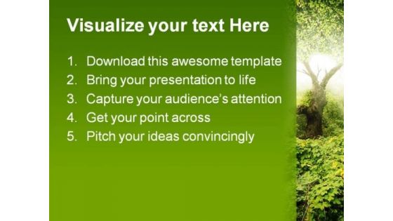 Sunlight In Forest Nature PowerPoint Template 0910
