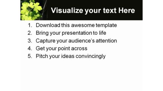 Sunlit Leaves Nature PowerPoint Themes And PowerPoint Slides 0511