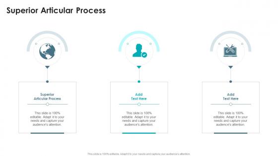 Superior Articular Process In Powerpoint And Google Slides Cpb