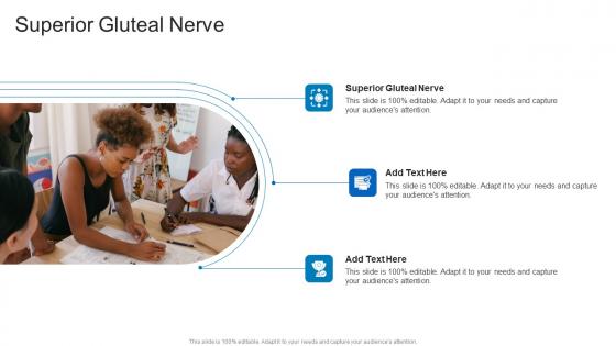 Superior Gluteal Nerve In Powerpoint And Google Slides Cpb