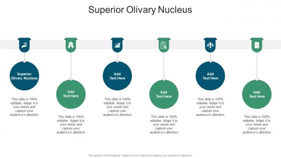 Superior Olivary Nucleus In Powerpoint And Google Slides Cpb