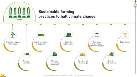 Sustainable Farming Practices To Halt Climate Change Adopting Sustainable Farming Techniques