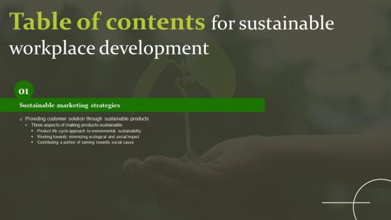 Sustainable Workplace Development Table Of Contents Ideas Pdf