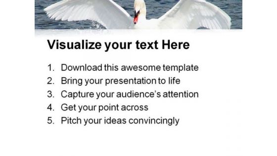 Swan Animals PowerPoint Templates And PowerPoint Backgrounds 0611