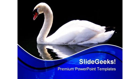 Swan Reflected Animals PowerPoint Themes And PowerPoint Slides 0511