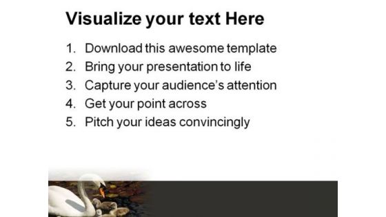 Swan Stroll Animals PowerPoint Themes And PowerPoint Slides 0511