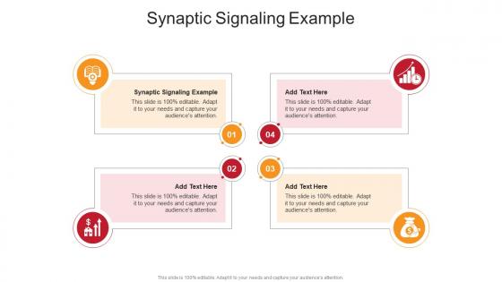 Synaptic Signaling Example In Powerpoint And Google Slides Cpb