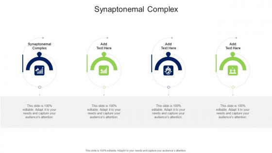 Synaptonemal Complex In Powerpoint And Google Slides Cpb