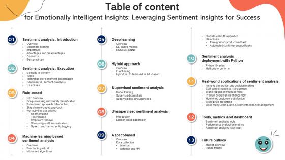 Table Of Content For Emotionally Intelligent Insights Leveraging Sentiment Insights For Success