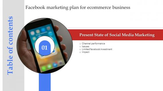 Table Of Contents For Facebook Marketing Plan For Ecommerce Business Strategy SS V