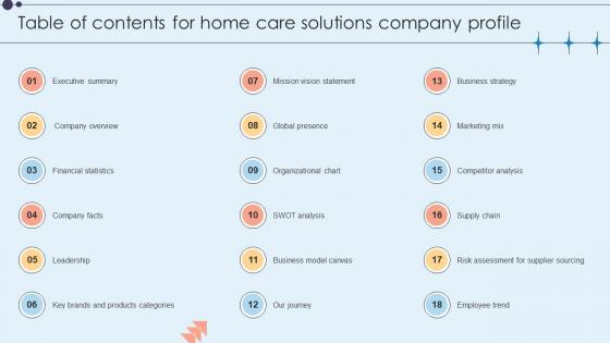 Table Of Contents For Home Care Solutions Company Profile CP SS V