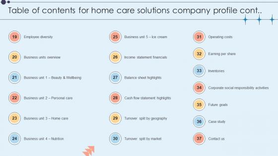 Table Of Contents For Home Care Solutions Company Profile CP SS V