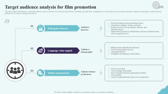 Target Audience Analysis For Film Strategic Plan To Increase Film Ppt Example Strategy SS V