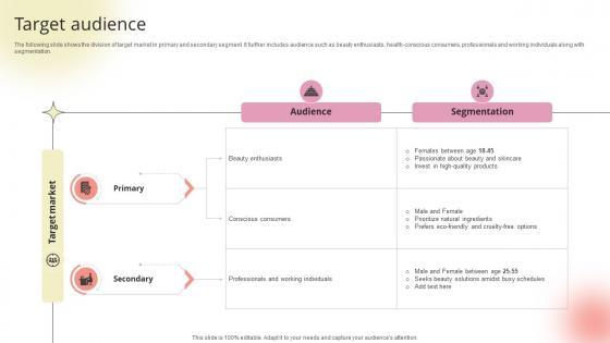 Target Audience Beauty Product Company Go To Market Strategy GTM SS V