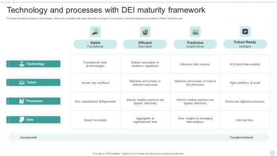 Technology And Processes With DEI Maturity Framework Information Pdf