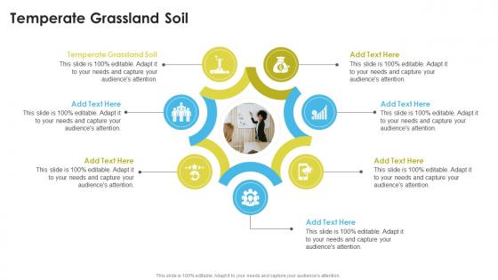 Temperate Grassland Soil In Powerpoint And Google Slides Cpb