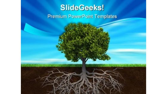 The Tree And Roots Nature PowerPoint Templates And PowerPoint Backgrounds 0411