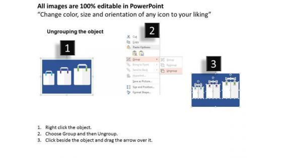 Three Bags For Shopping Presentation Template