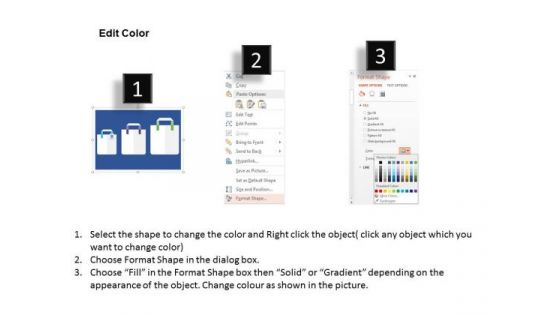 Three Bags For Shopping Presentation Template