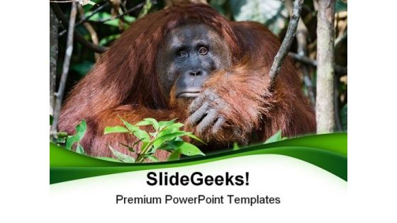 Today Very Sad Animals PowerPoint Templates And PowerPoint Backgrounds 0111