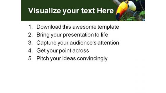 Toucan Animals PowerPoint Themes And PowerPoint Slides 0511